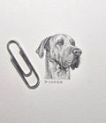 1 inch by 1 inch original black and white pencil portrait of your pet