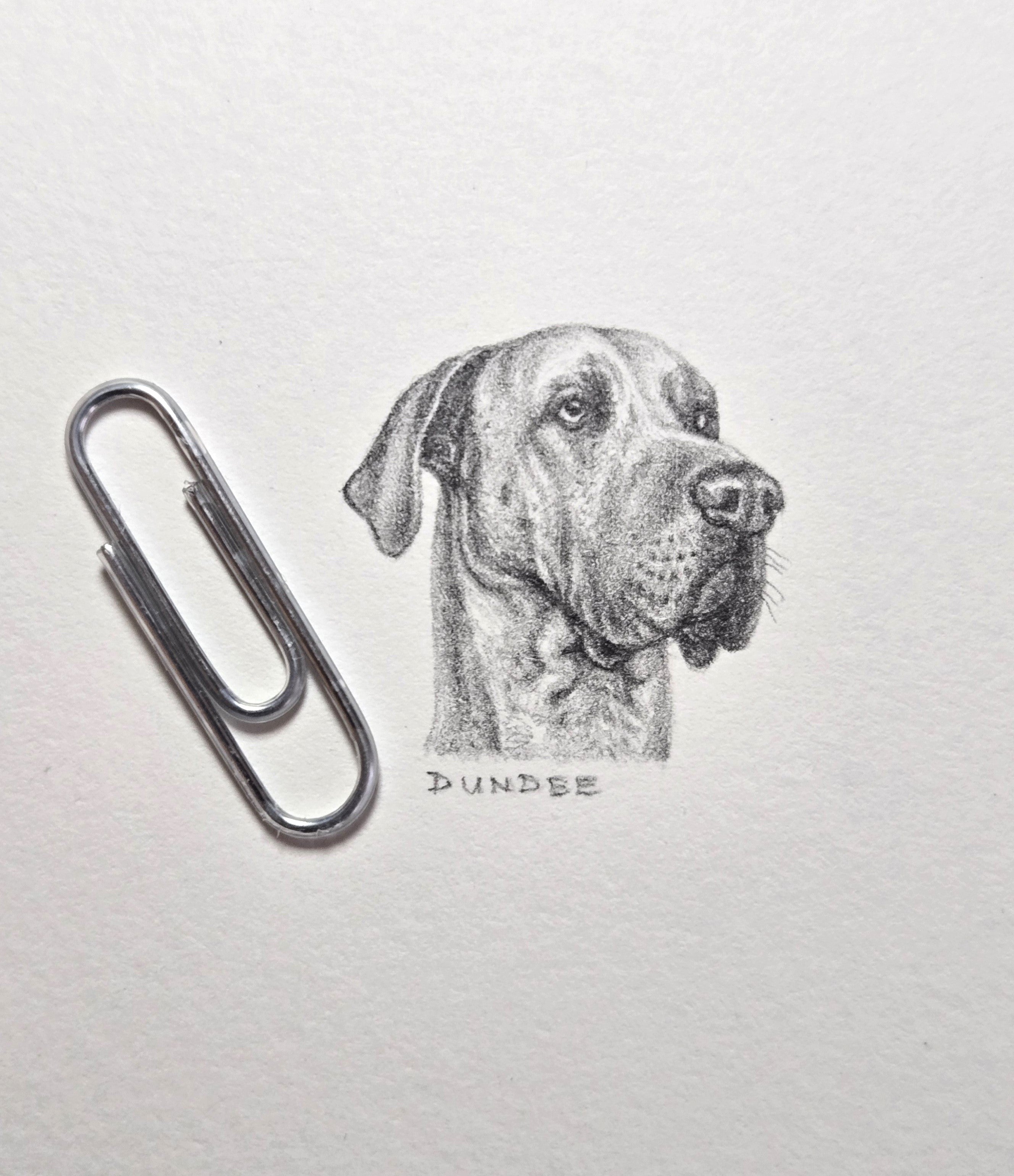 1 inch by 1 inch original black and white pencil portrait of your pet